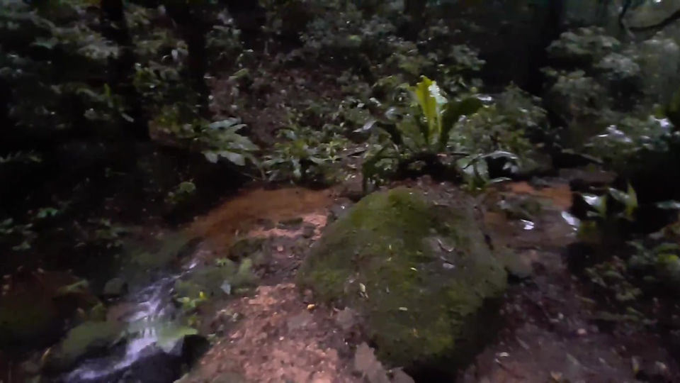 E a Água do Riachinho Flui